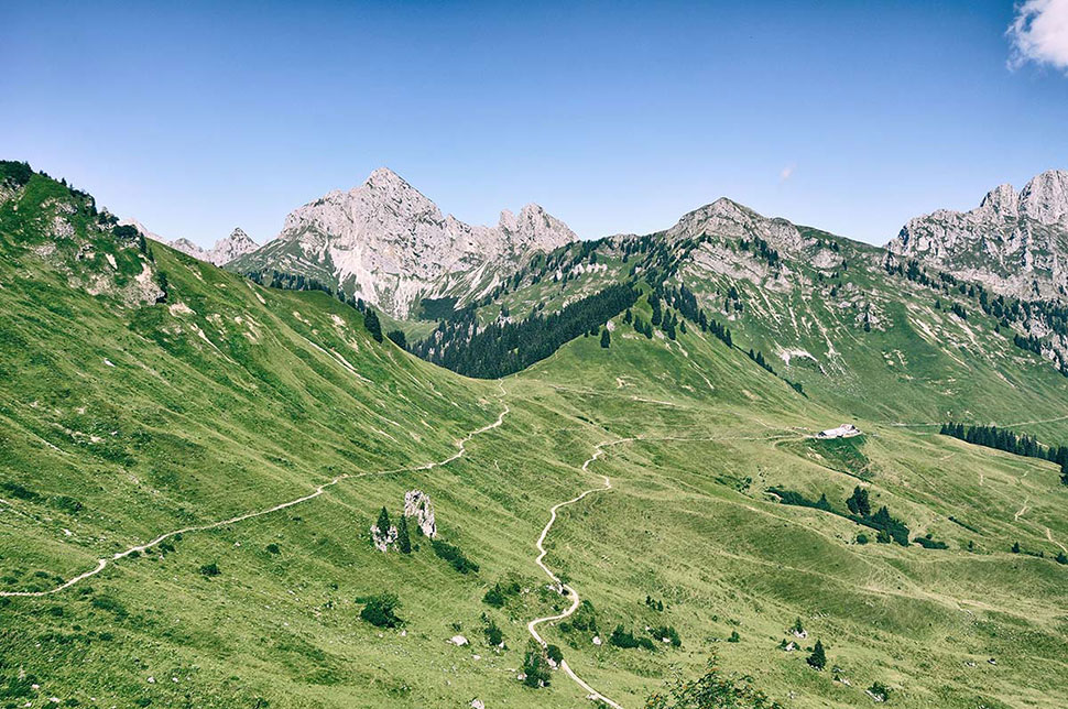 Blick auf sattes Grün und Berge im Hintergrund
