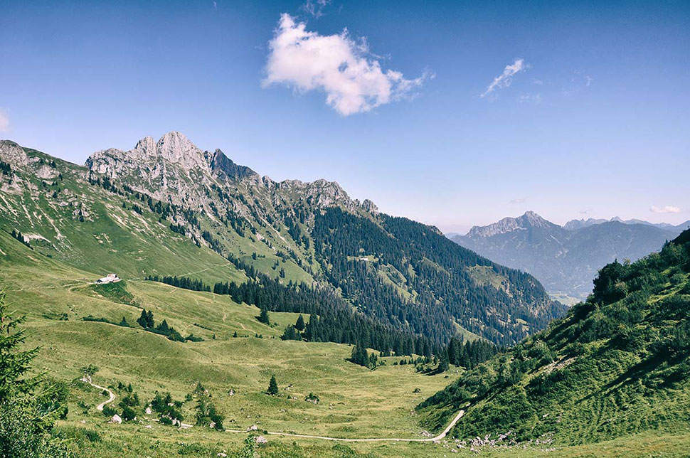 Blick auf sattes Grün und Berge im Hintergrund