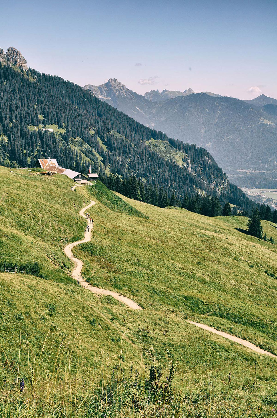 Ein geschlängelter Weg führt zur Hütte