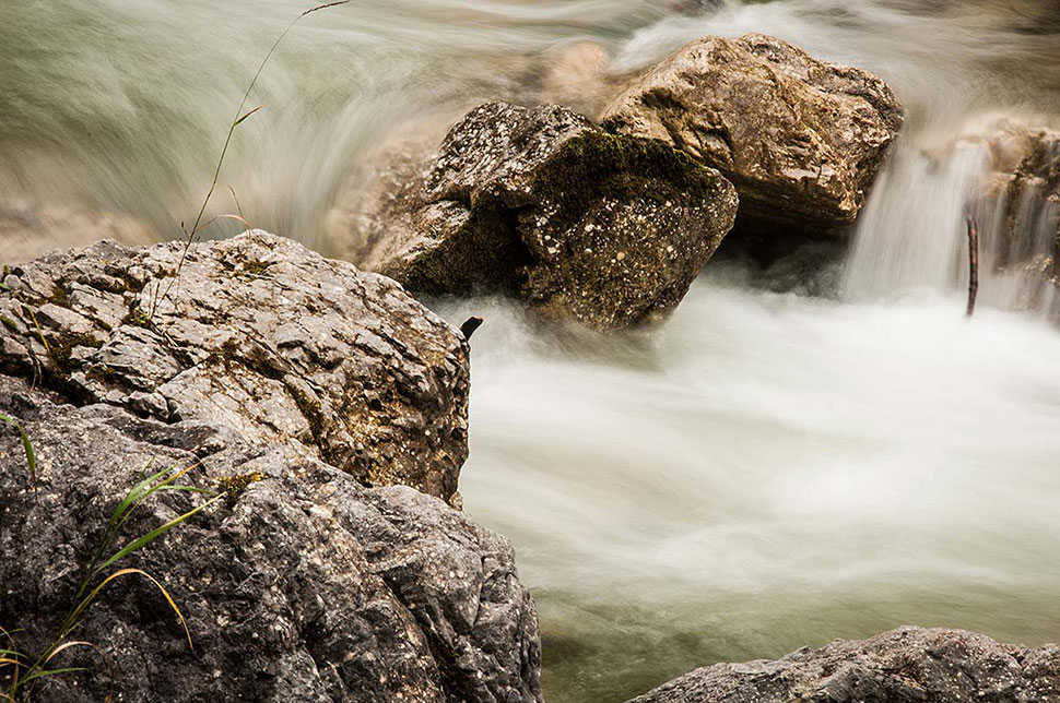 Reinigung - Der Melkstand wird gesäubert