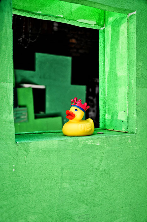 Ente Greenscreen