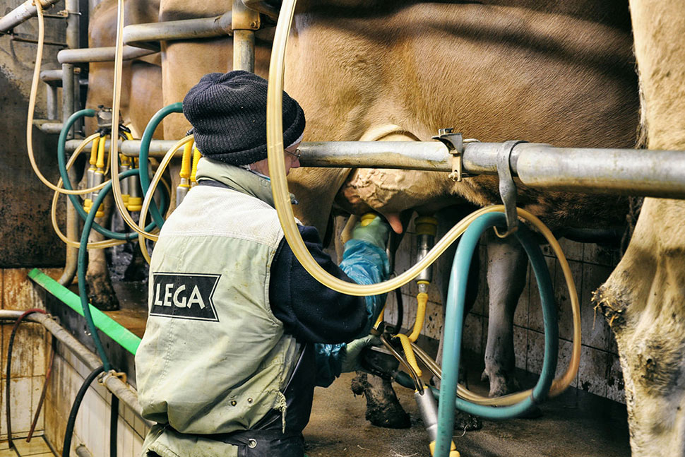 Melkbeginn - Installation der Geräte