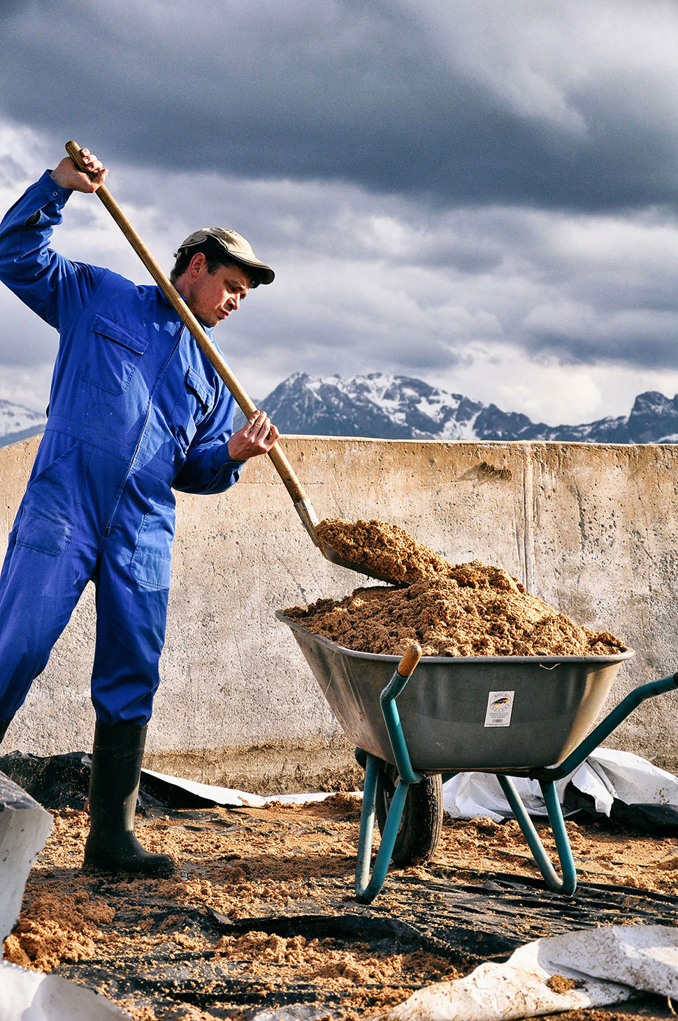 Eine Schubkarre voller Kraftfutter